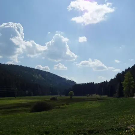 アパート Zum Froehlichen Eichhoernchen